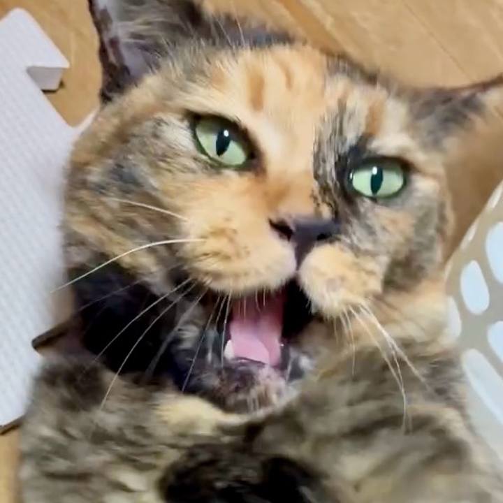 A0f1cbbe 9971 4b29 a67c 6bbf4a45bb8d 1755547797108