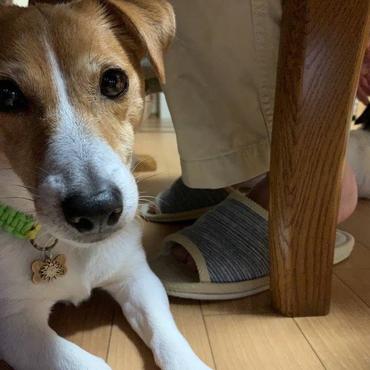 A0f1cebe 2568 42ca 9726 92dd2d10afb3 1620638544839