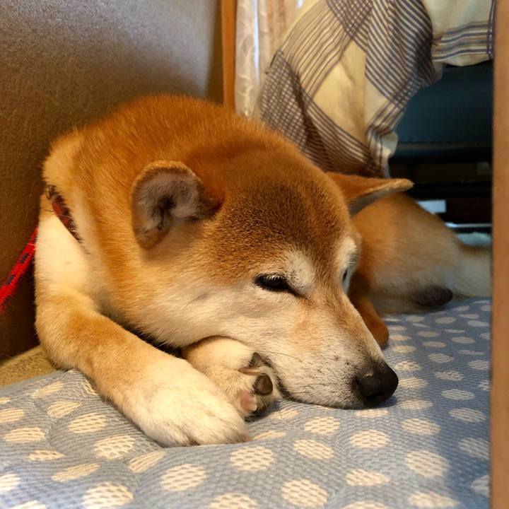 A0f1d97b fe8f 42b8 bad6 559ebe27ed47 1561892537648