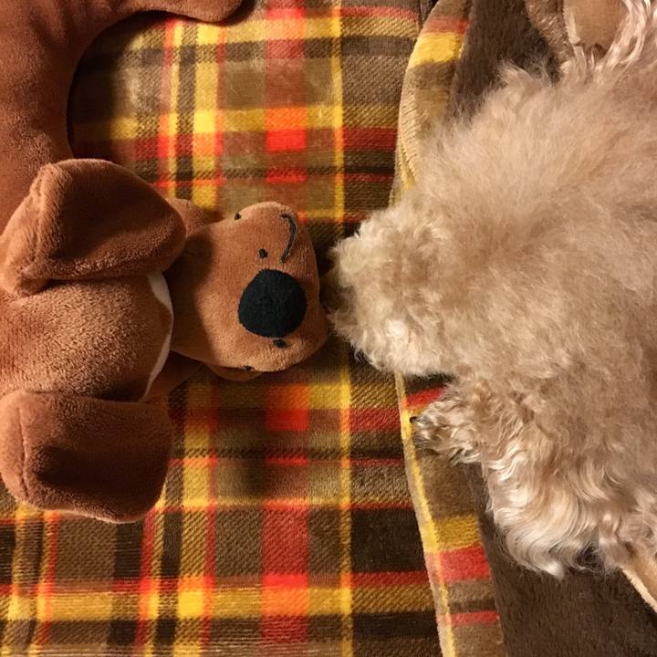 A0f1e0af 7ee5 4e36 9753 931aab30ff82 1508147097041