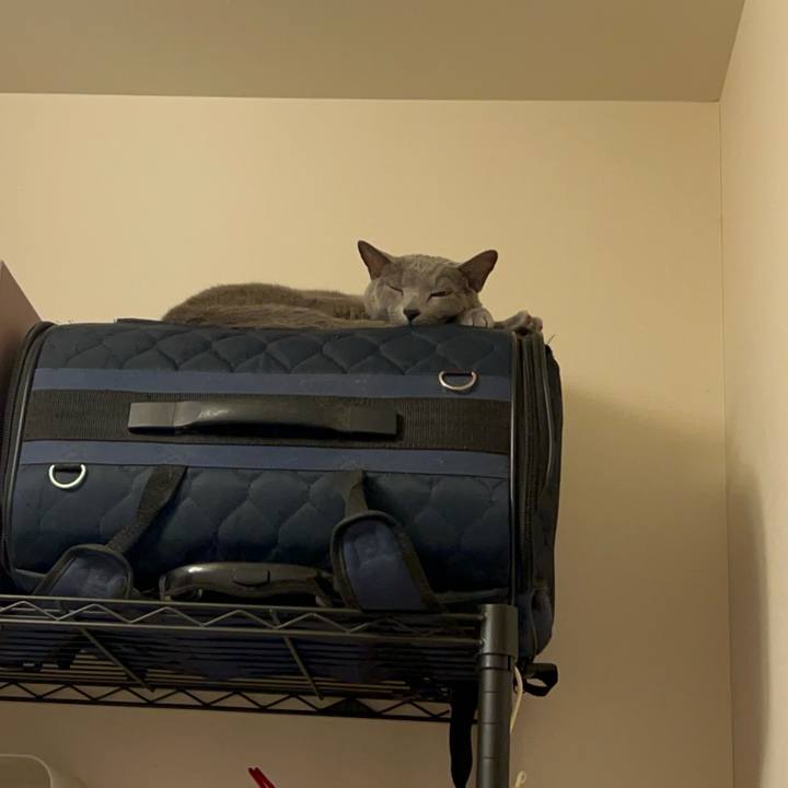 A0f1e787 bd80 47c9 99e7 39bdbc712e5a 1739973134286