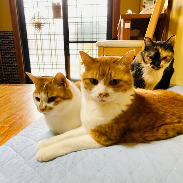 A0f1f800 6ec6 4774 a54f 9df259e67946 1684793477762