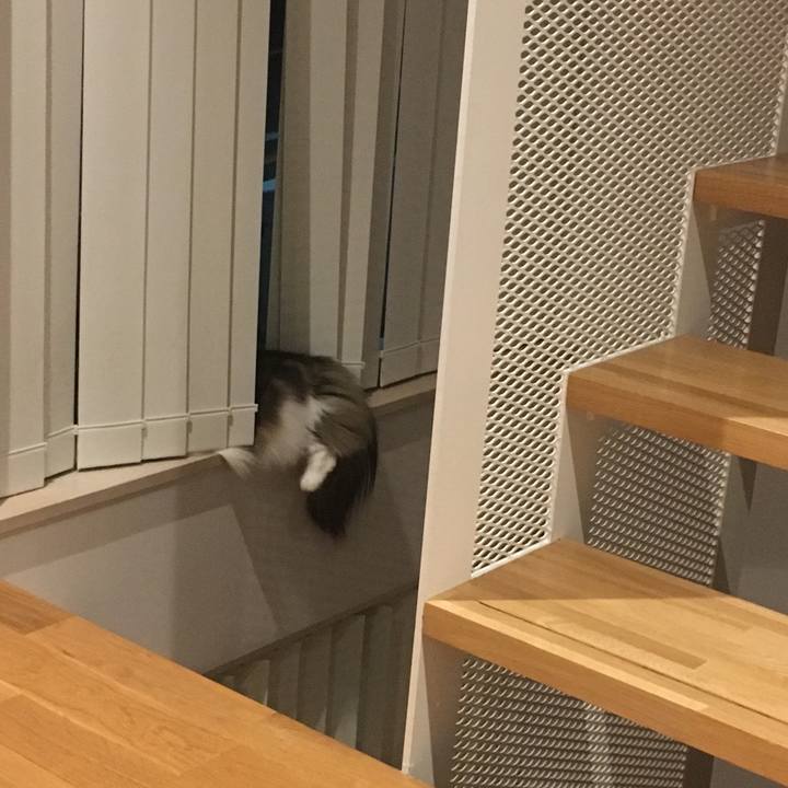 A0f207ad 2d1a 4dc3 aec1 39b7138988e0 1565882655377