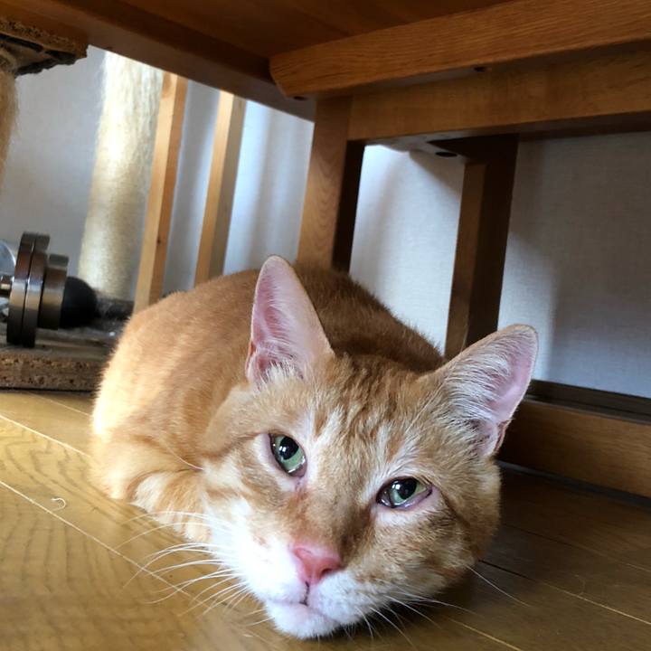 A0f20cf2 7e5f 410b a355 5ae6ea81d0c9 1600497665634