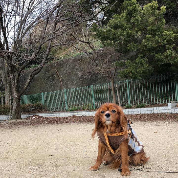 A0f220a1 e5bb 4b55 a92b cdaf6c68dd48 1581121884980