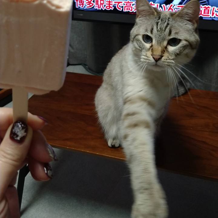 A0f23fc6 24c3 4082 b4a0 858771f9d187 1657107096736