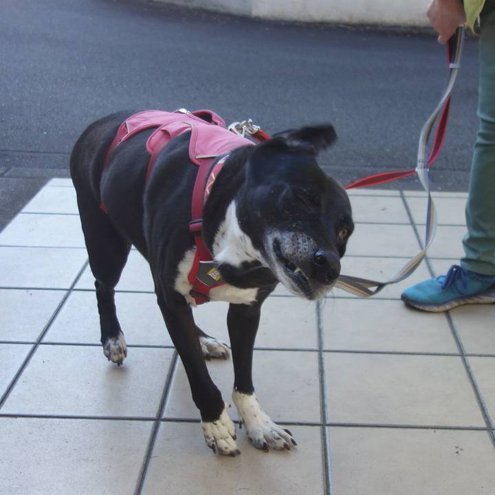 A0f2798c 8f6f 4bae ae27 d114ccf9df94 1698974467175