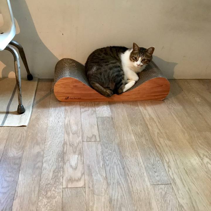 A0f2b139 de76 4395 90b4 0c50b102ab28 1526979771738