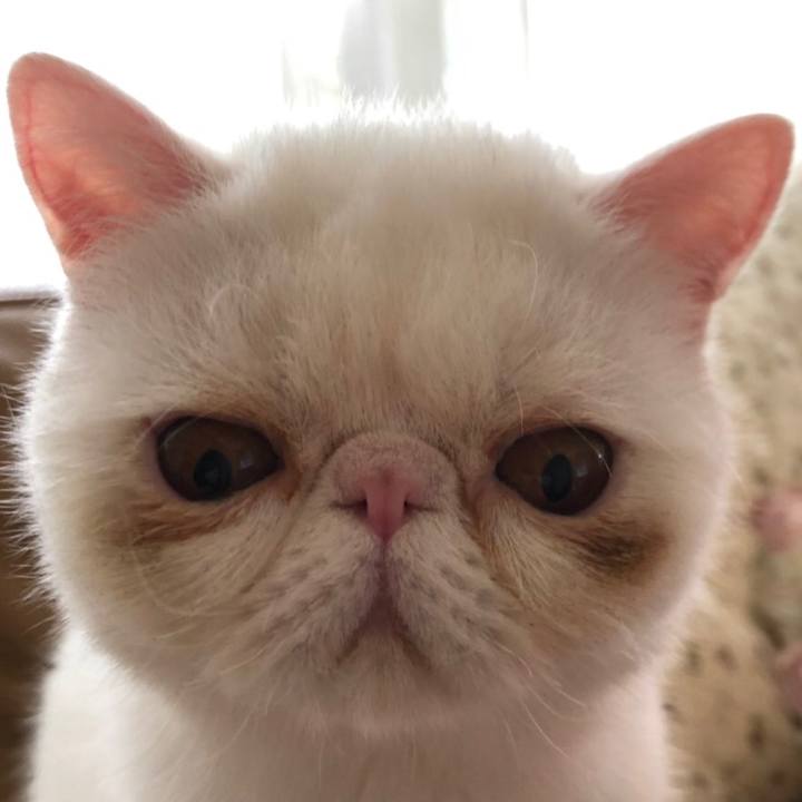 A0f2b18a bdcf 44fd 84b0 8be70ea719ea 1558186824501