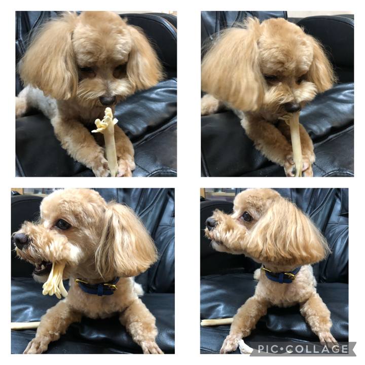 A0f2bd0c c2bf 404e b6e1 7f0bb794ebfa 1656808009166