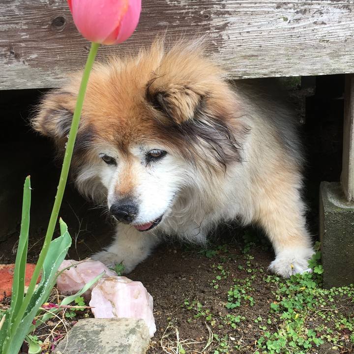 A0f30357 3f79 4fa2 84fe a7b585ff9166 1611496501665