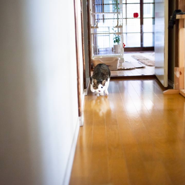 A0f30a5f 8f17 40b0 829e 2806b4b963b8 1608180496714