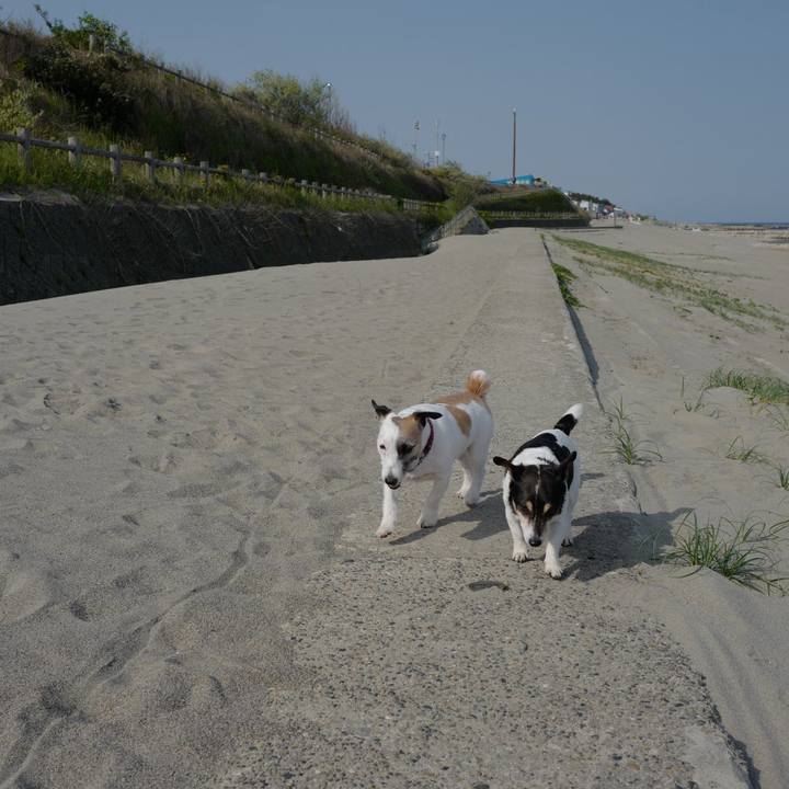 A0f3bdd8 ebd2 41d6 845c 42fdb3c37d97 1558066153013