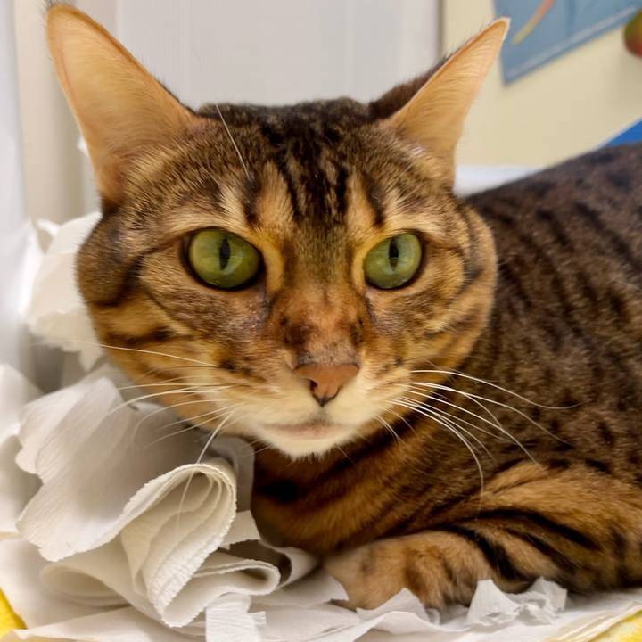 A0f405c9 aa28 482f a909 5d83b6e40a44 1647061543081