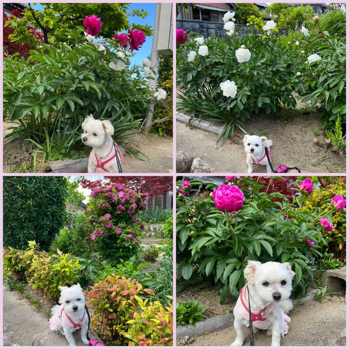 A0f41531 1df0 4d92 b3b9 20b7d46f215d 1651907877569