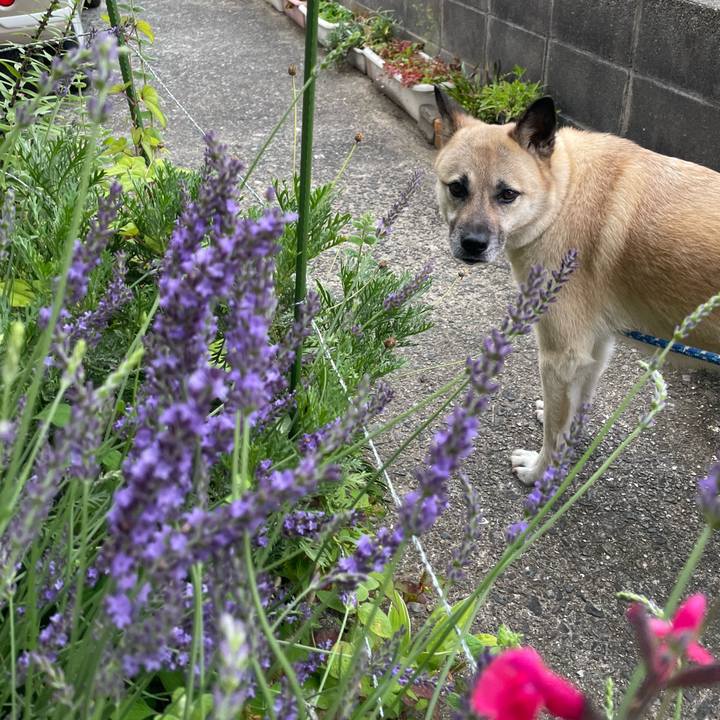 A0f43743 8fbd 4d3d 82a1 6e08726ad408 1655469012463