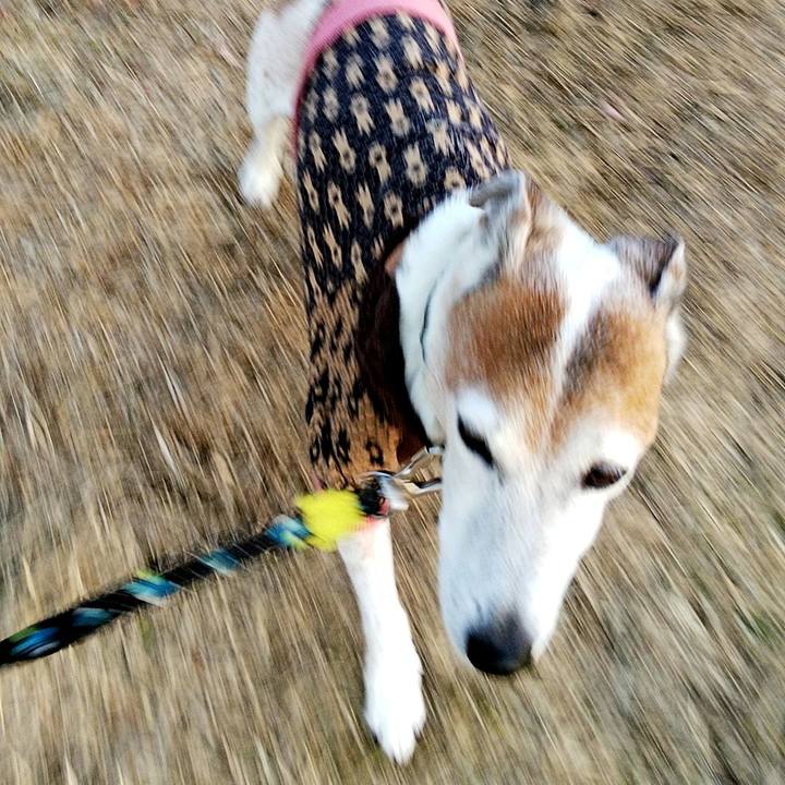 A0f45d55 9ac6 421d a5f2 425be2d49777 1580641258566