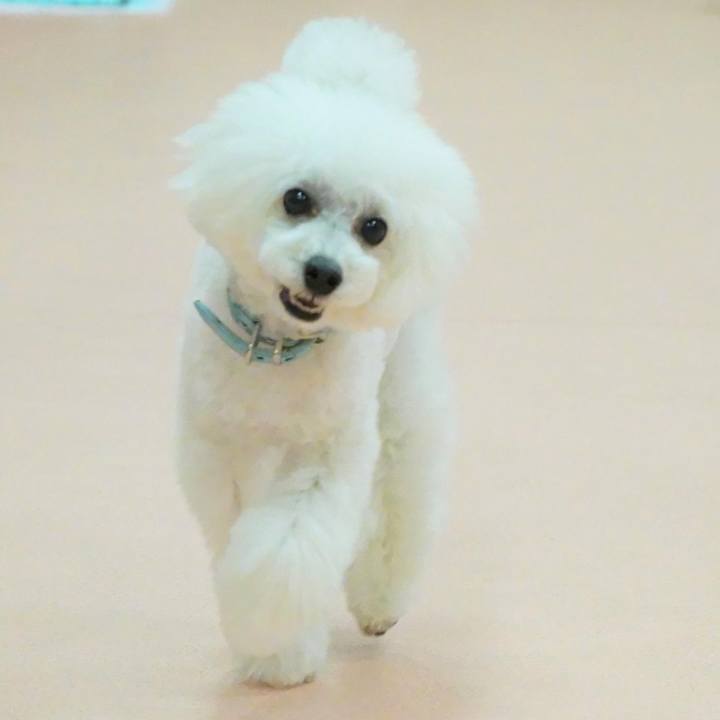 A0f4f6f6 cec4 4adb a92b c047f464923b 1601289218318