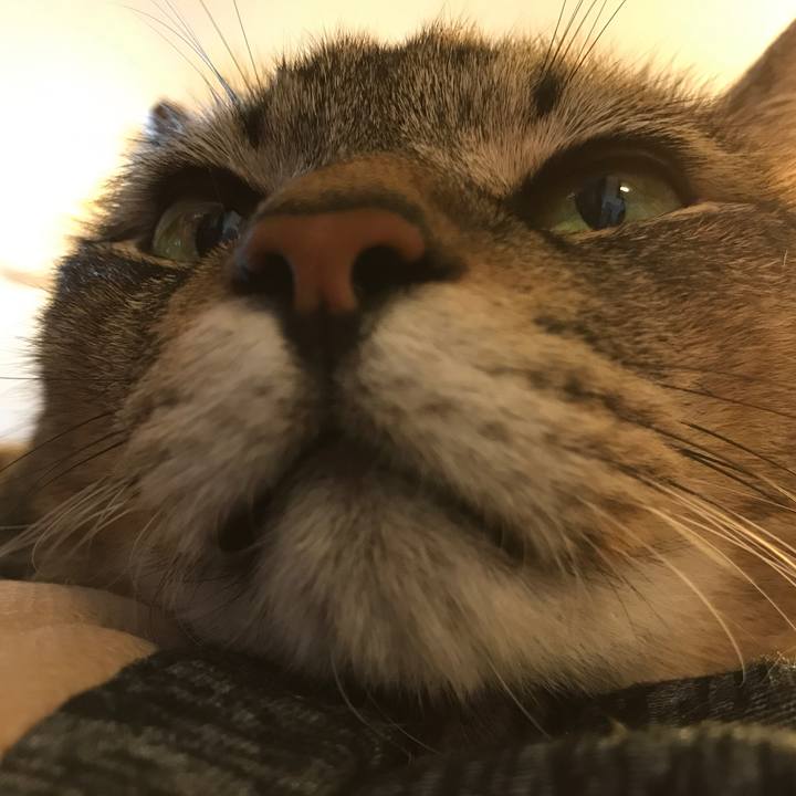 A0f5389d 8f3d 4f87 99d1 d2b6ea6fd377 1566039292573