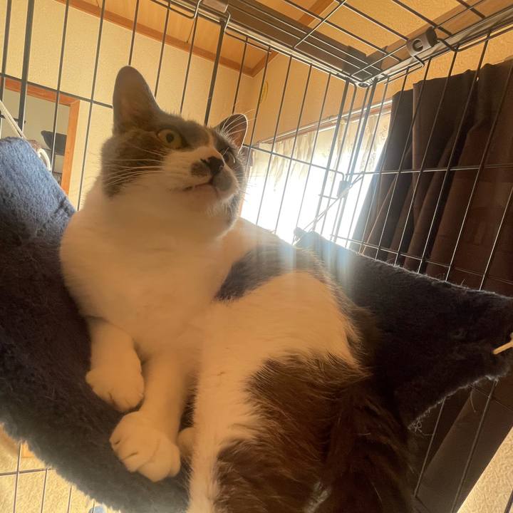 A0f547bb 5e64 4ab7 ab64 5ca7d795f7e5 1673485839404