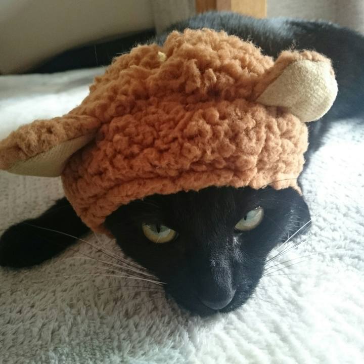 A0f5706a 660f 41f9 b0fe 6f76daf87c66 1514086247052