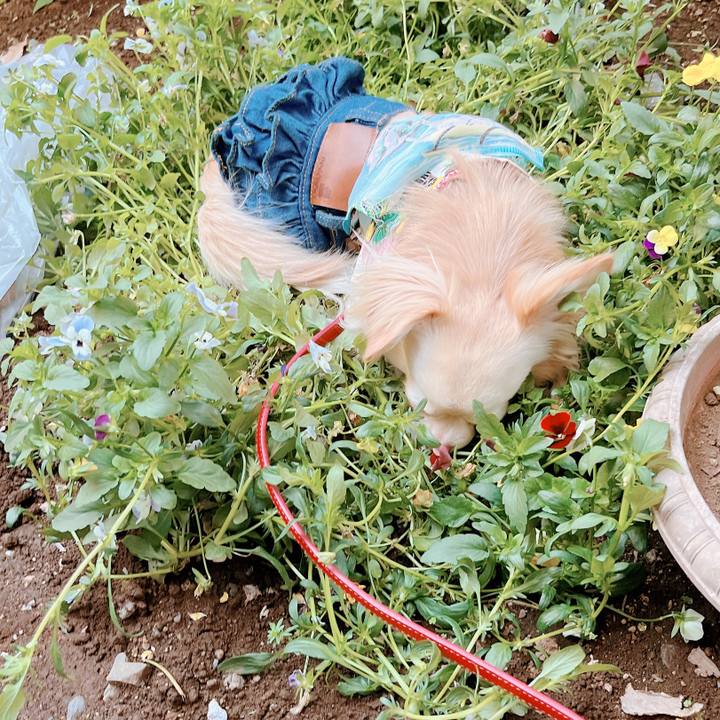 A0f58c35 6f91 440f 826d bb9ab1895785 1651737629980