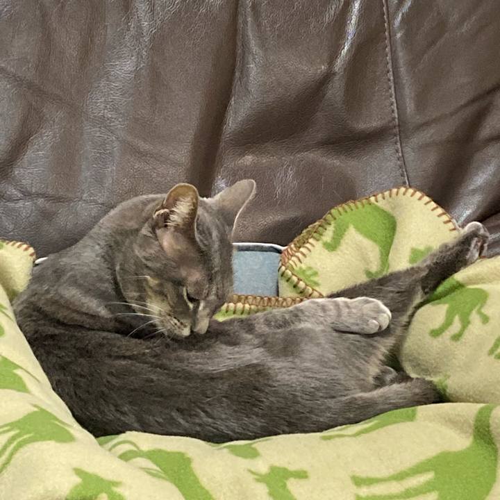 A0f59b2f cc87 40a7 af75 860808d56f85 1677234973443