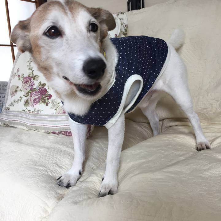 A0f5a339 0d07 4f12 af0c 47b8c4f00ffe 1539299075866