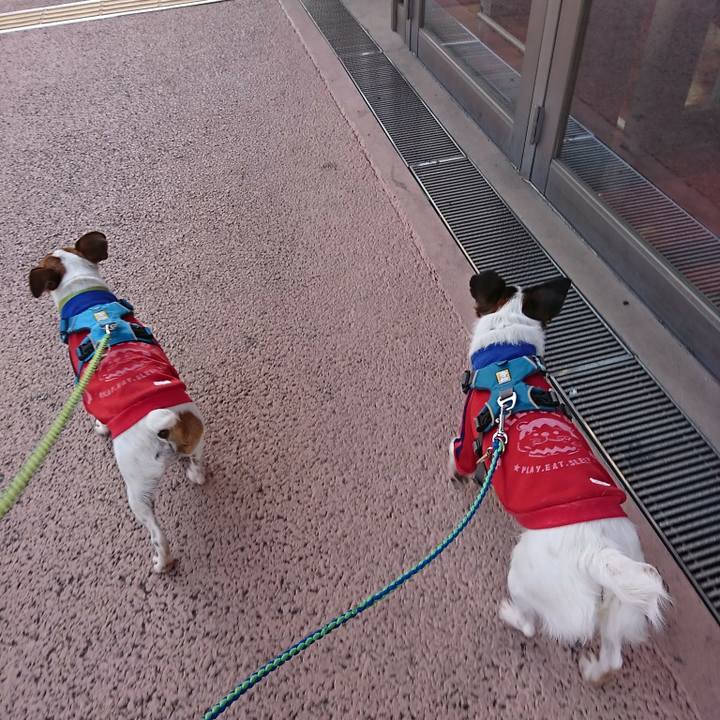 A0f5bb27 7b74 4f73 aecc 33d893d1aa00 1588841764411