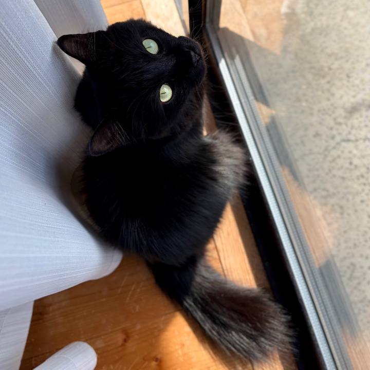 A0f5d1a6 d339 4b28 b258 09cb0a7a9f09 1773392875864