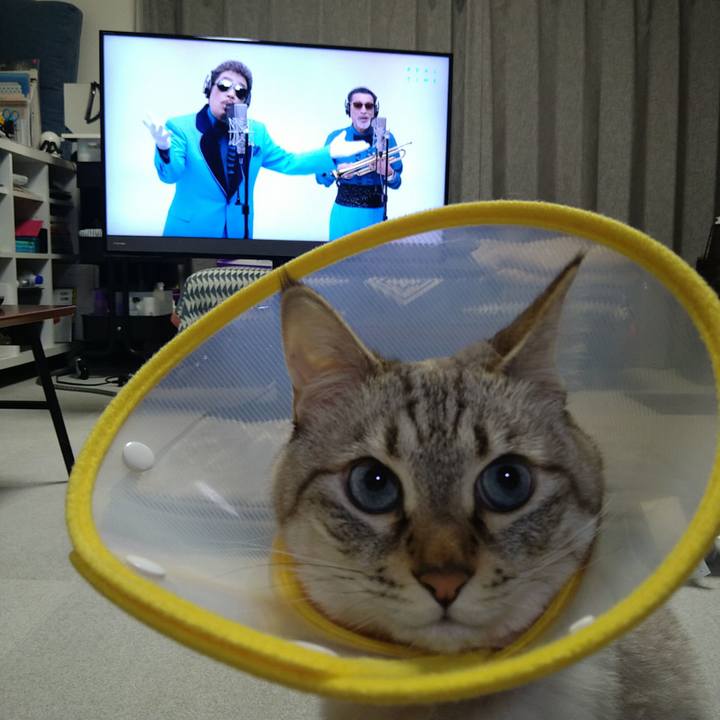 A0f6115d 42af 47e5 bb50 014bf7a33afb 1731670611641