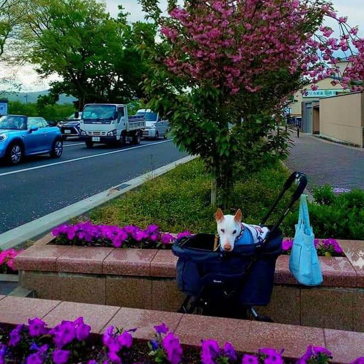 A0f6287a af33 4919 9e6a 0cd7dd928ec9 1556322523642