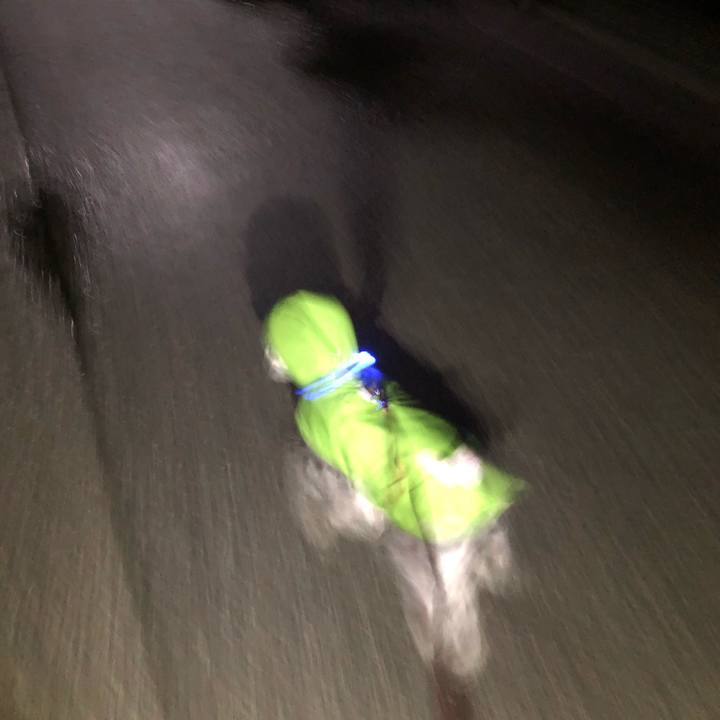 A0f66164 5536 459b a15c b7a3204fa2f4 1663854750302