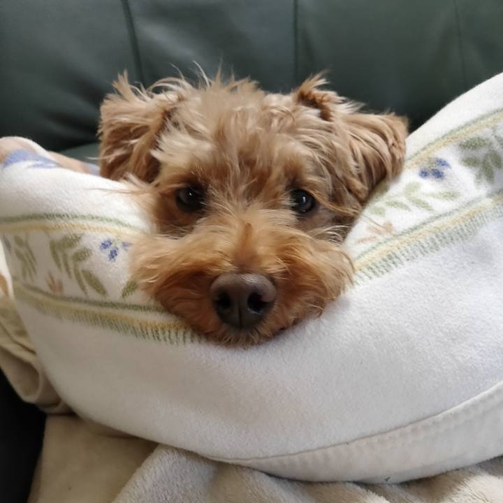 A0f6c355 b8c0 4c8f a006 96cf91b99c18 1585176398722