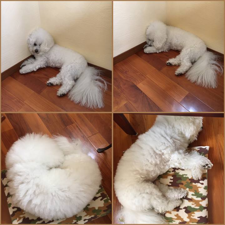 A0f6dddf f824 4dd2 b272 7d9bc7d762c9 1587459672635