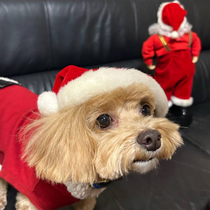 A0f6de5f 29c3 4128 8803 5e058165bcef 1703439375797