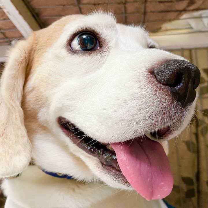 A0f6f6a5 7b03 41fb a21d be7b4b590f46 1623123342777