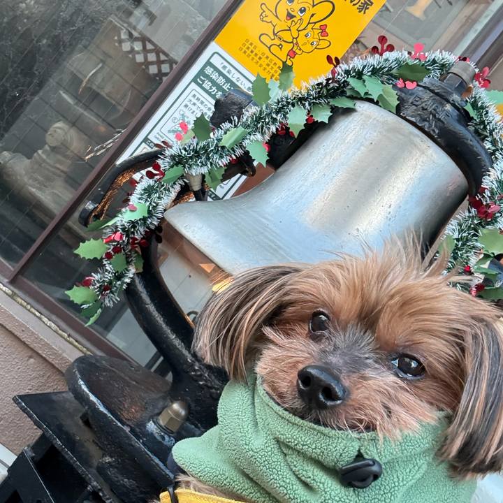 A0f7450e 81c9 477a 98df 64330645395d 1733899454559