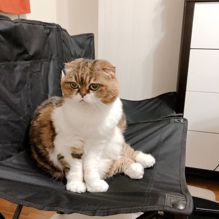 A0f74934 a162 4cd0 8698 ccd10630eda2 1560093965817