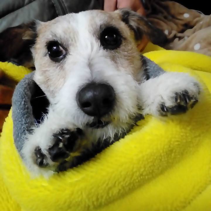 A0f782c1 d894 49a0 a582 733faea50559 1549796139839