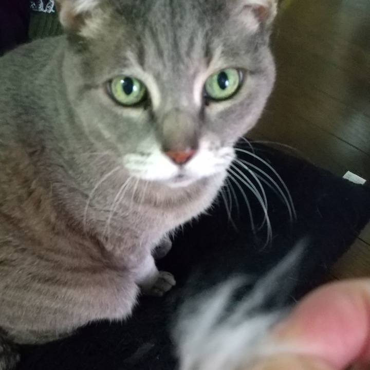 A0f79327 f748 4770 b423 f107c10682d8 1648104331048