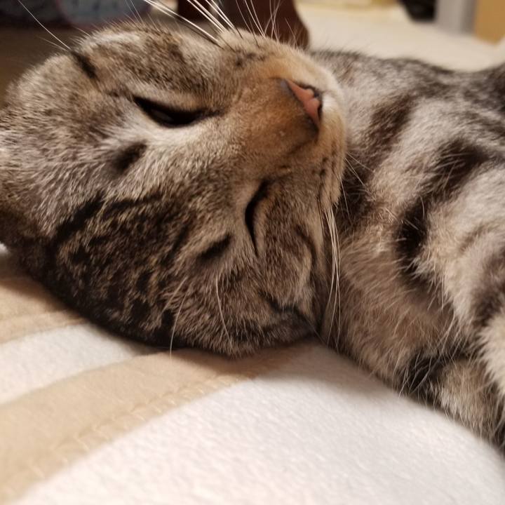 A0f7a32a ff20 4ae3 a0c2 b3d60674a311 1677667727508