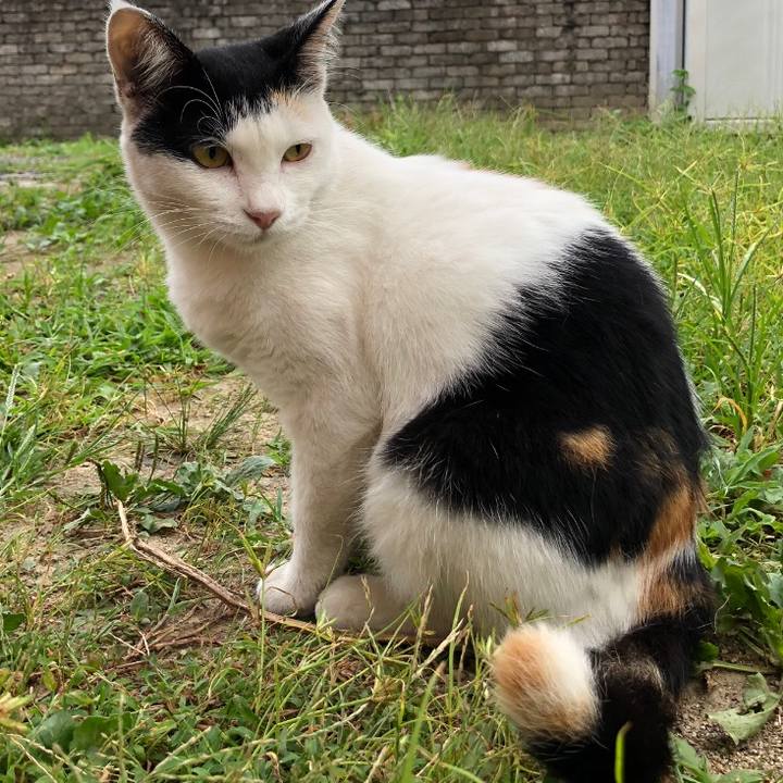 A0f804e2 0449 4088 aa88 ea0dcceda5b0 1599172269261