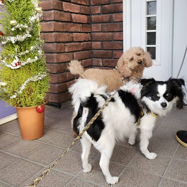 A0f8438c 0b7f 4946 b6bb e3adf06f631b 1766302195886