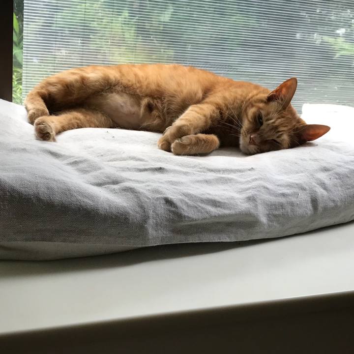 A0f84a7f 86d8 4ca9 90c0 a7eeb628f394 1595385535814