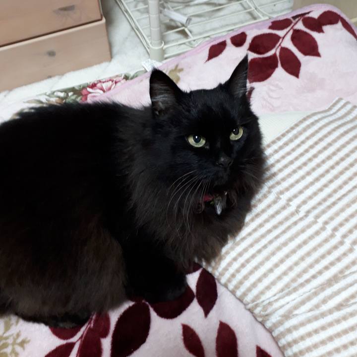 A0f8547d 0f39 46be a163 4ae946e7be0e 1523966422629