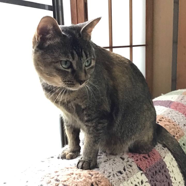 A0f86631 3e82 42ac 8ec4 f991e236df04 1655370292638