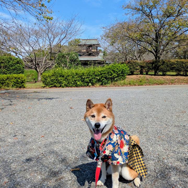 A0f8bba1 a5c0 491c b1aa 25ce2b145c33 1758932120189