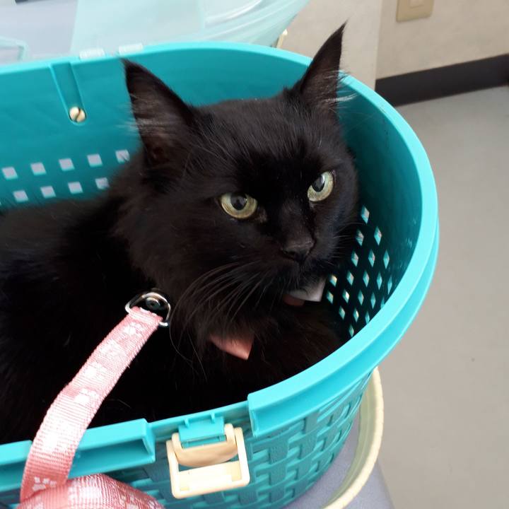 A0f8e57c 2887 4fae b1d7 515332cb6e7e 1520107519619