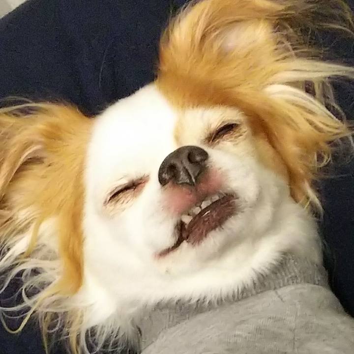 A0f92d86 475b 43fe 8518 35ed3a73e7ea 1510898739776